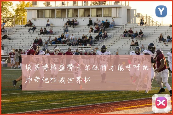 埃芬博格盛赞卡尔独特才能呼吁纳帅带他征战世界杯
