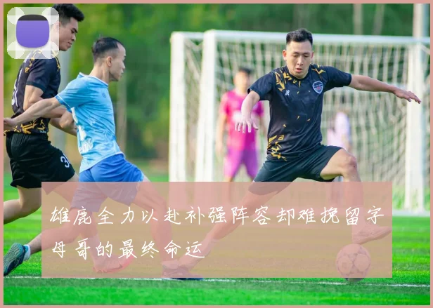 雄鹿全力以赴补强阵容却难挽留字母哥的最终命运
