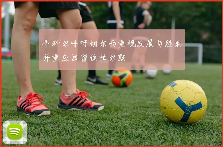 乔科尔呼吁切尔西重视发展与胜利并重应该留住帕尔默